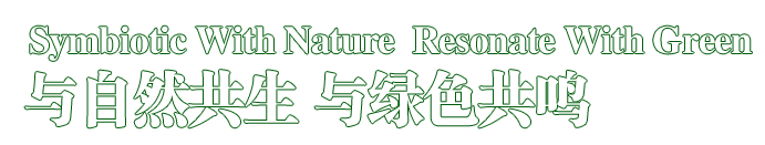 upayǮ�� -����֧��,����ѡ��